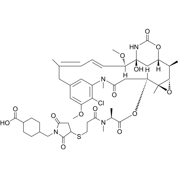 AMCC-DM1