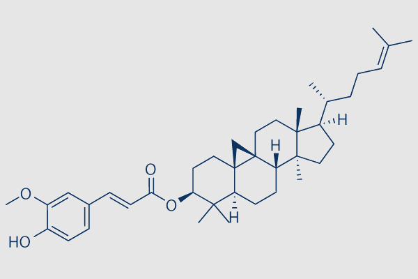 Gamma-Oryzanol