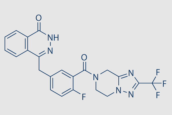 Fluzoparib (SHR-3162)