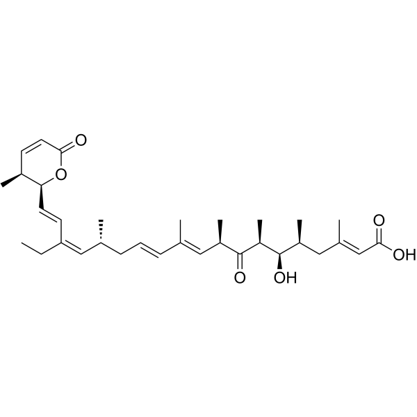 LeptomycinB