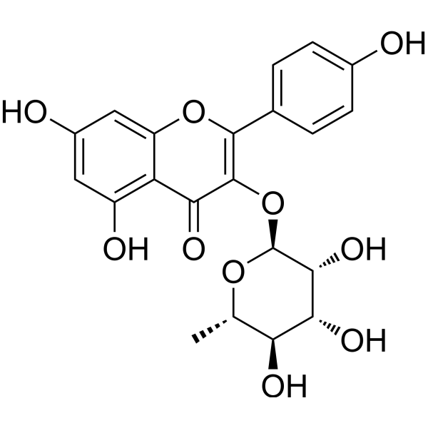 Afzelin (Standard)