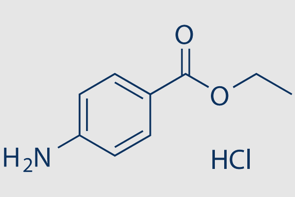 Benzocaine hydrochloride