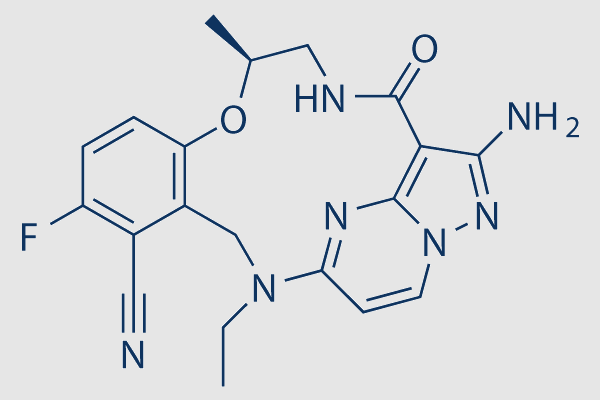 Elzovantinib (TPX-0022)