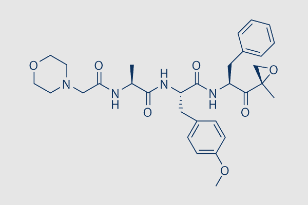 ONX-0914 (PR-957)