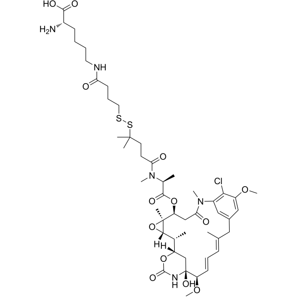 Lys-Nε-SPDB-DM4