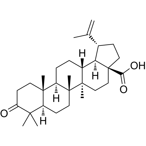 Betulonic acid