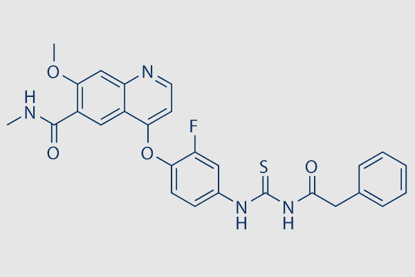Pamufetinib (TAS-115)