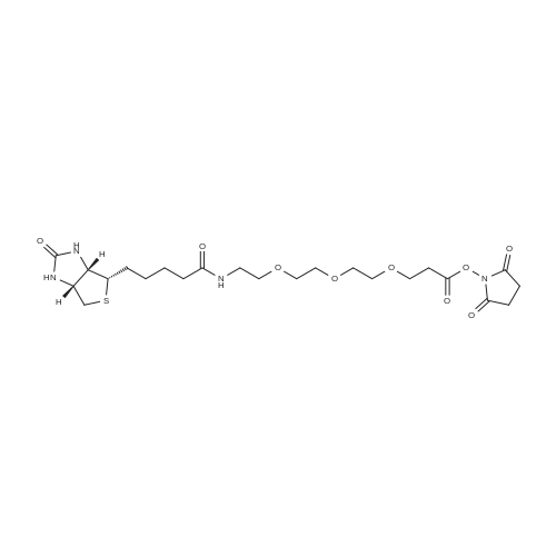 Biotin-PEG3-NHS ester