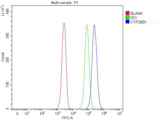 a02691 2 cyp26b1 primary antibodies fcm testing 1
