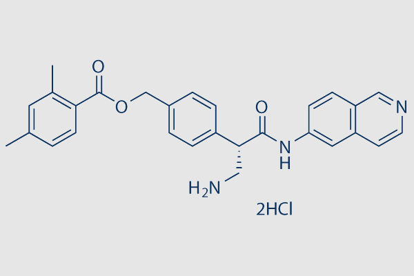 Netarsudil (AR-13324) 2HCl