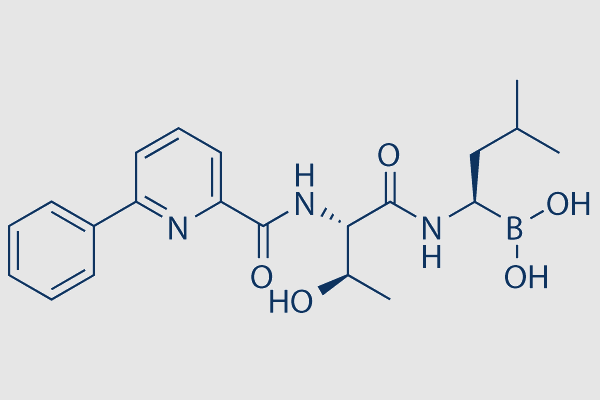 Delanzomib (CEP-18770)