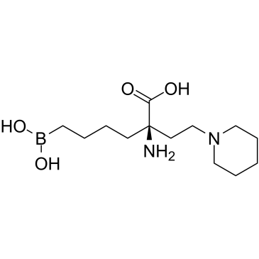 Arginaseinhibitor1