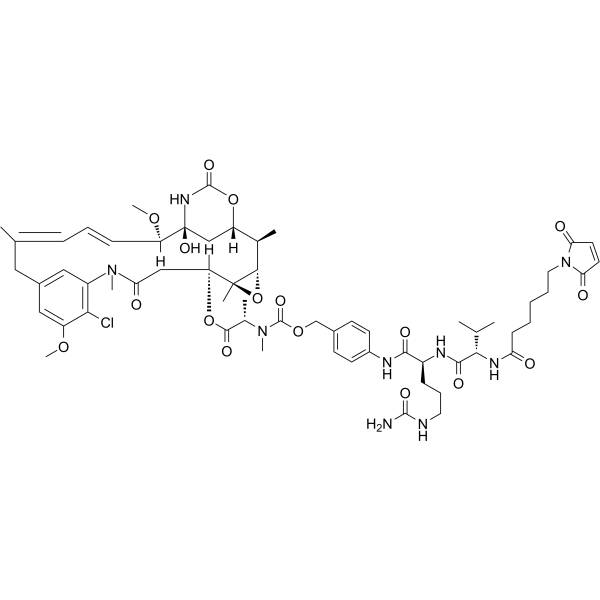 Mal-VC-PAB-DM1
