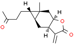 Carabrone