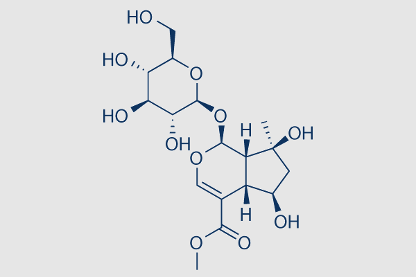 Shanzhiside methyl ester