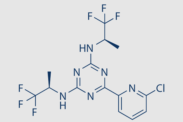 Vorasidenib (AG-881)