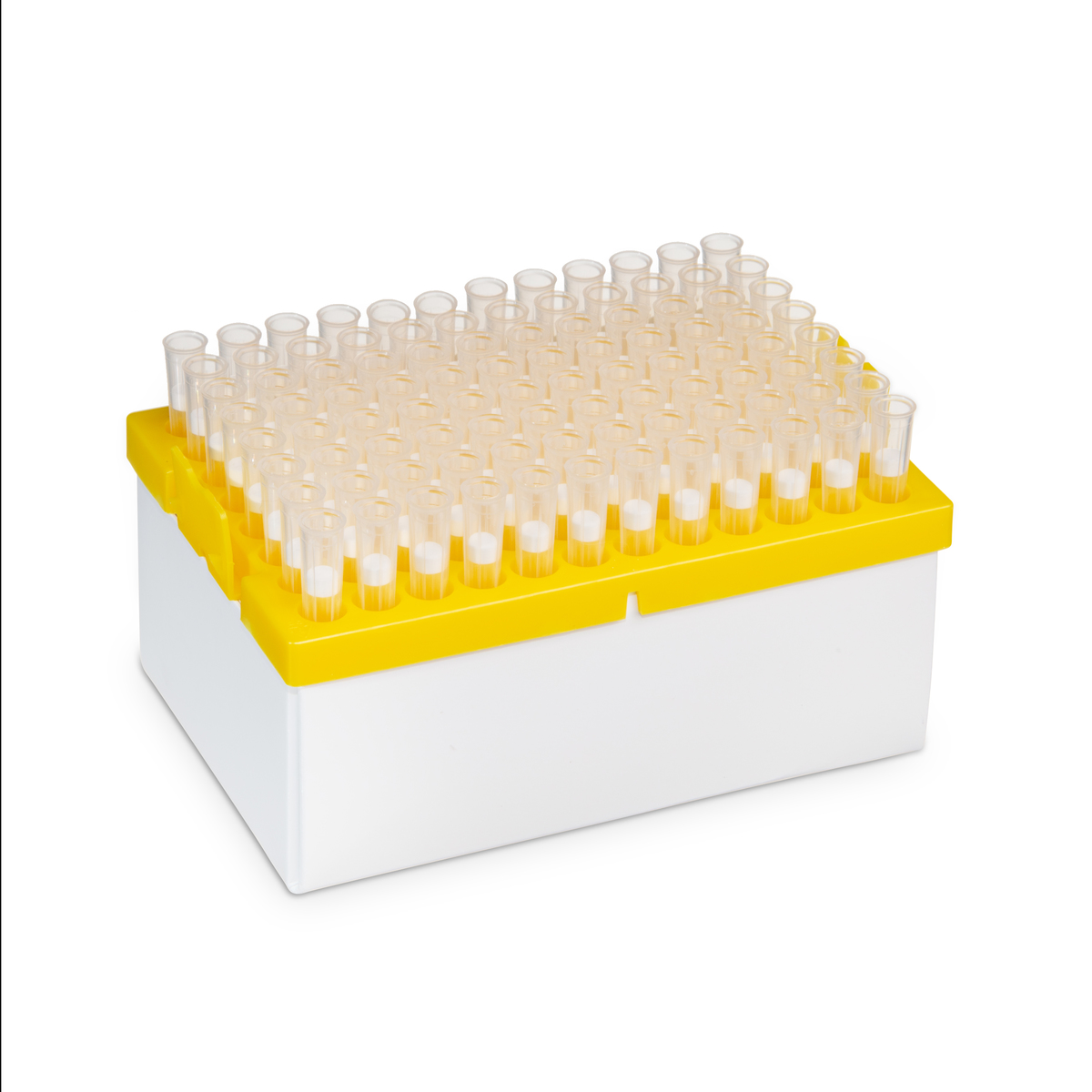 Axygen® HybridRack™ Pipet Tip, 200 µL, NX Filtered, Racked, Sterile