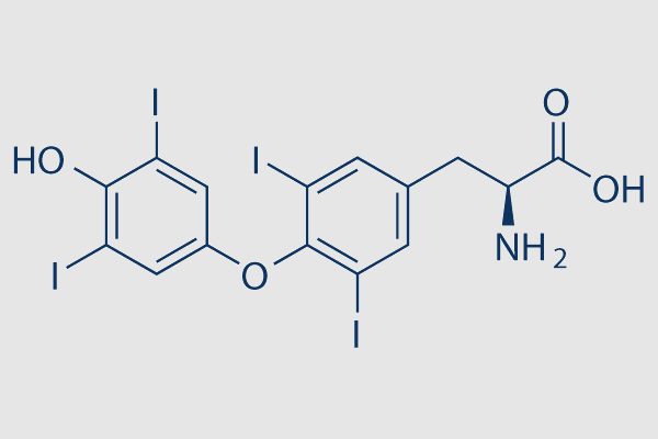 L-Thyroxine