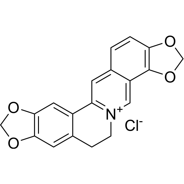 Coptisine chloride