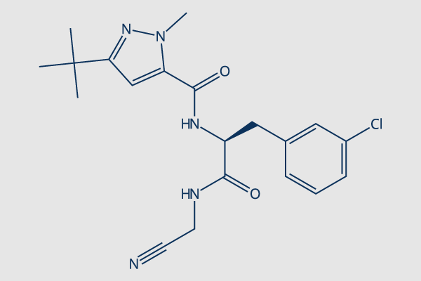 Cathepsin Inhibitor 1