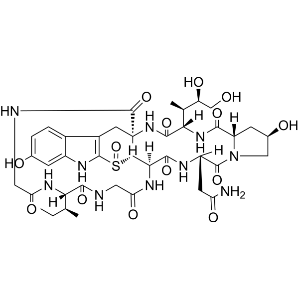 α-Amanitin