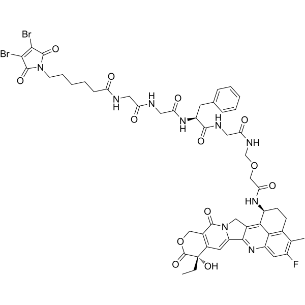 DBM-GGFG-NH-O-CO-Exatecan
