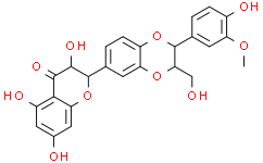 Isosilybin