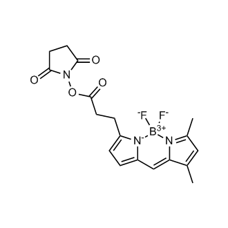 BODIPY-FL NHS ester