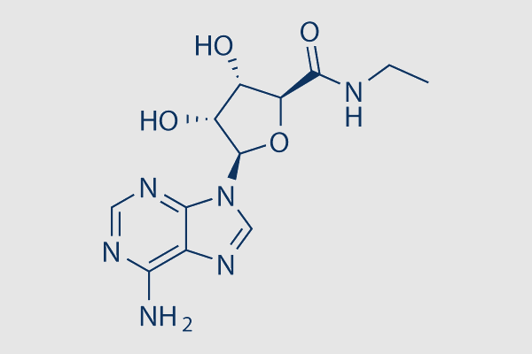 5'-N-Ethylcarboxamidoadenosine (NECA)