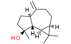 Spathulenol