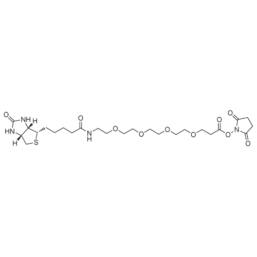 Biotin-PEG4-NHS ester