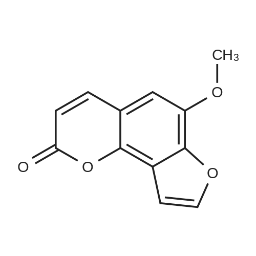 sphondin