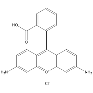 Rhodamine 110