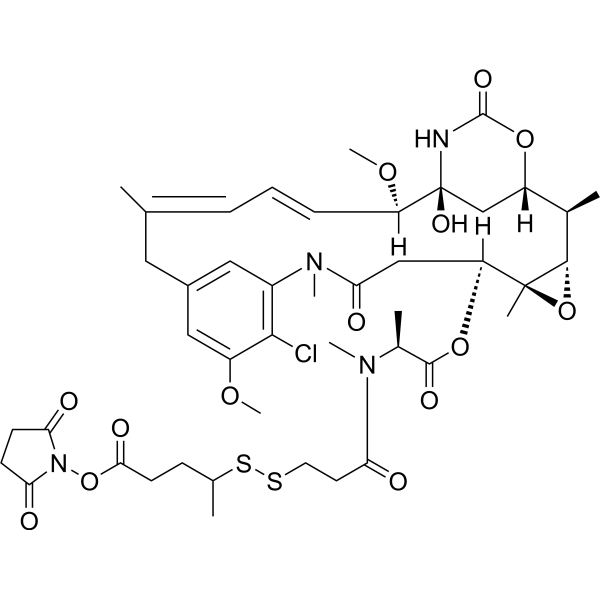 SPP-DM1
