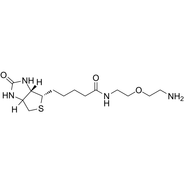 Biotin-PEG1-NH2