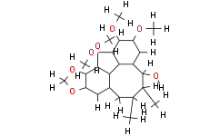 Epigomisin O