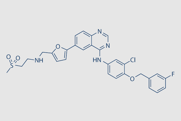 Lapatinib (GW-572016)
