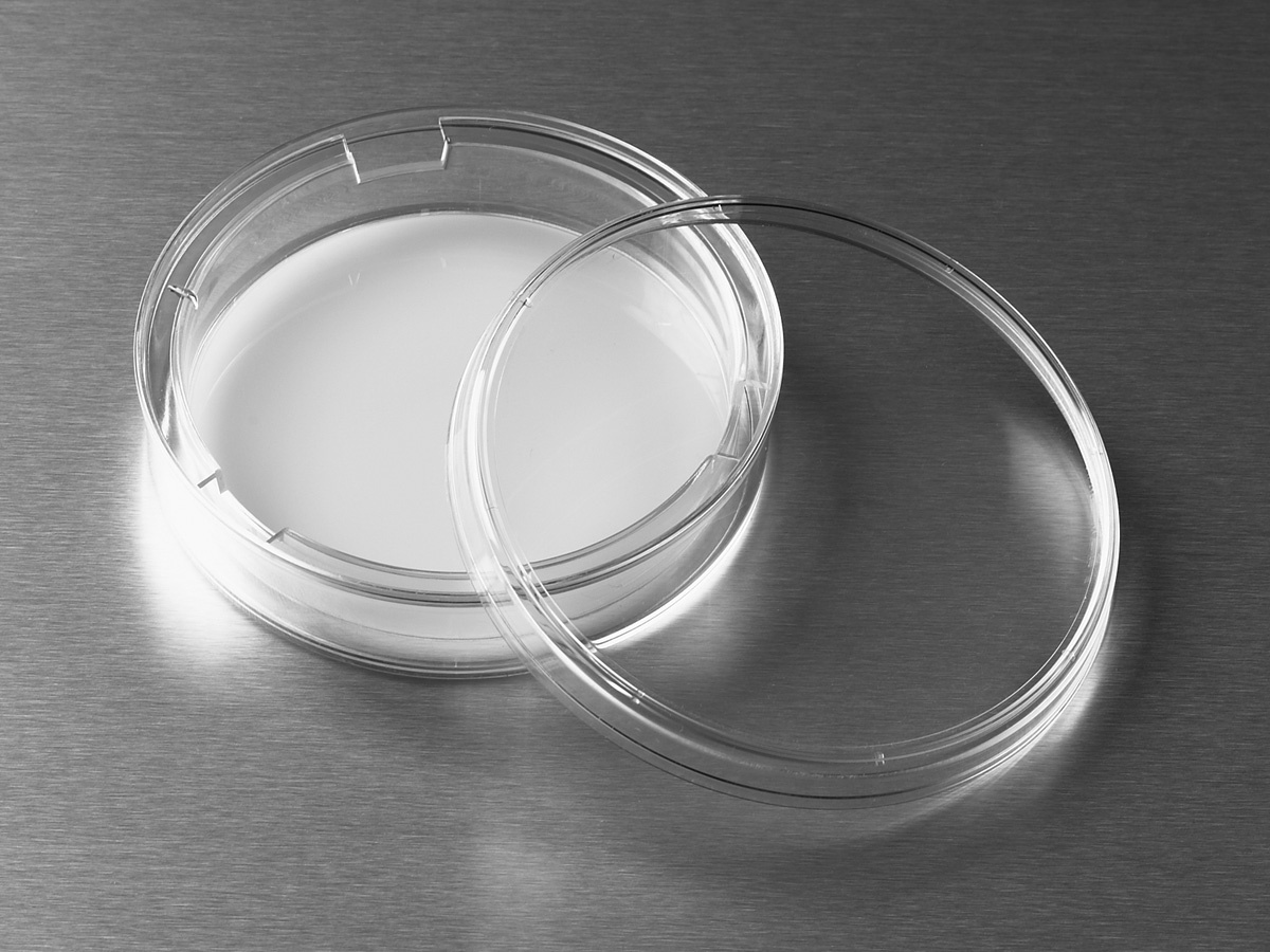 Corning® 75 mm Transwell® with 0.4 µm Pore Polycarbonate Membrane Insert, Sterile