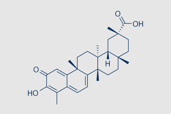 Celastrol (NSC 70931)