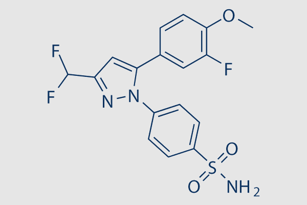 Deracoxib