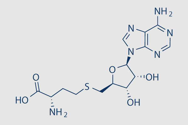 S-Adenosyl-L-homocysteine (SAH)