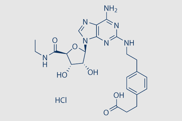 CGS 21680 HCl