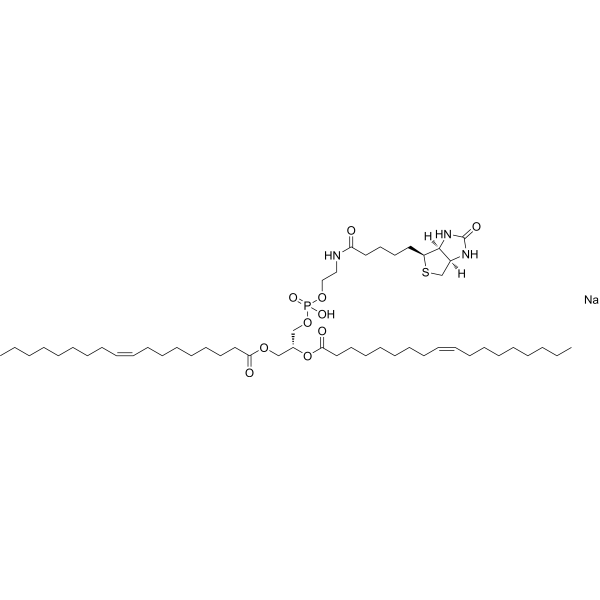 18:1 Biotinyl PE