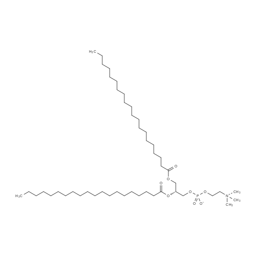 1,2-Diarachidoyl-sn-glycero-3-PC