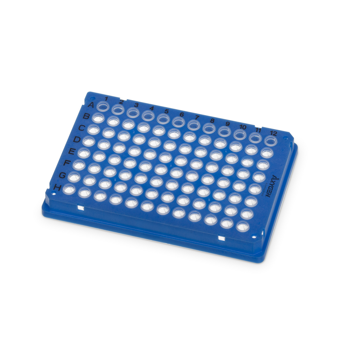 Axygen® RIGIPLATE® 96-Well PCR Microplate, Blue PC Frame, Clear PP Tubes, ANSI/SLAS Footprint, Full Skirt