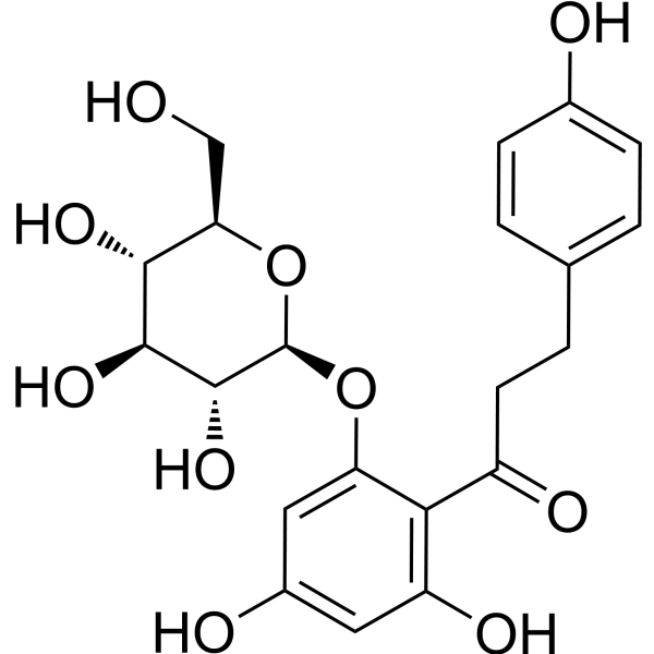 Phlorizin