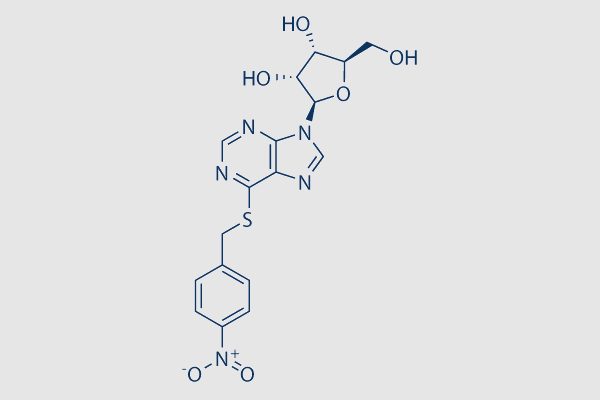 S-(4-Nitrobenzyl)-6-thioinosine (NBMPR)