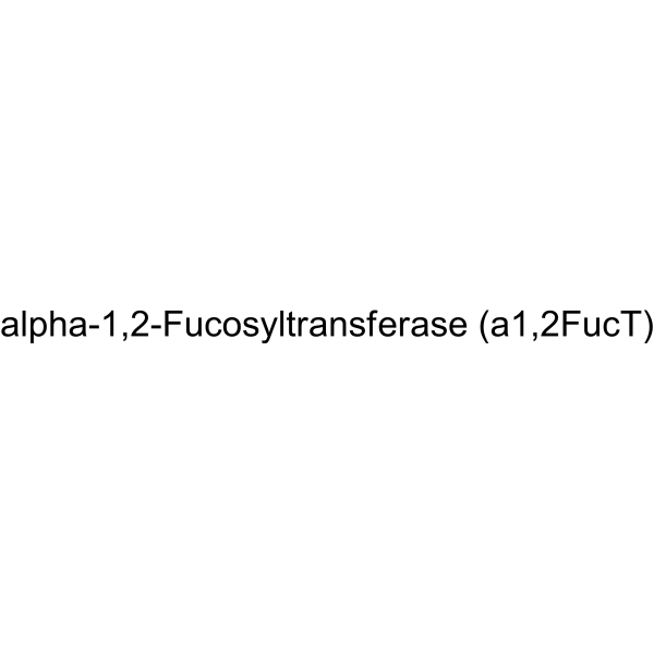 alpha-1,2-Fucosyltransferase (α1,2FucT)