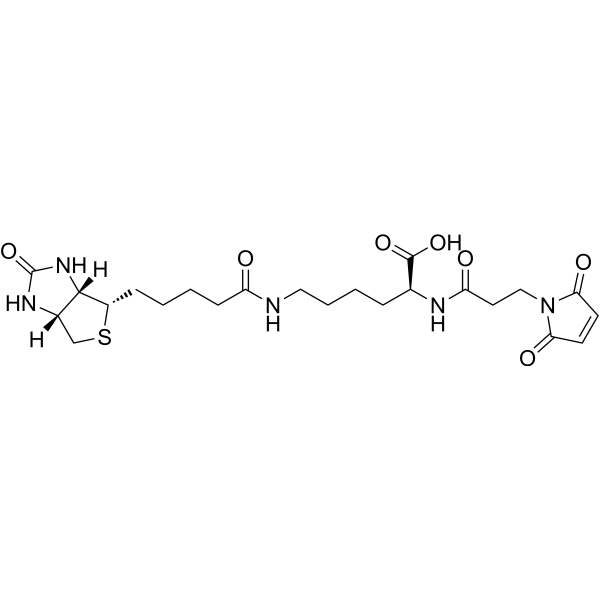 3-(N-Maleimidopropionyl)biocytin