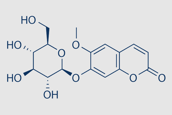 Scopolin